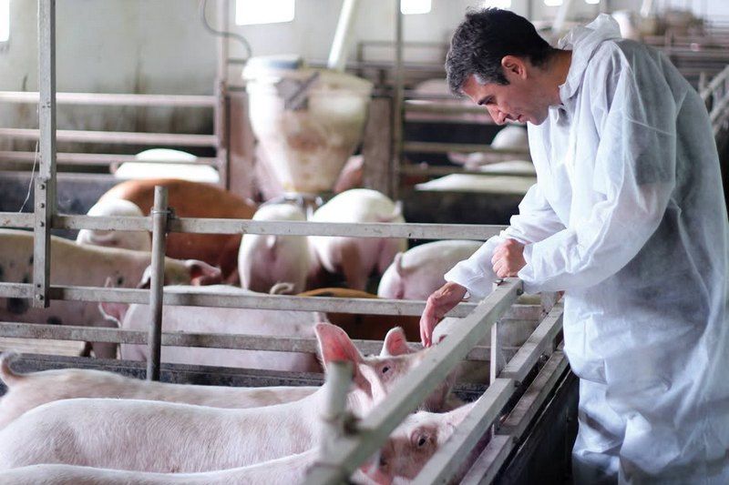 Les Éleveurs de porcs de l’Estrie offrent un don majeur aux organismes communautaires